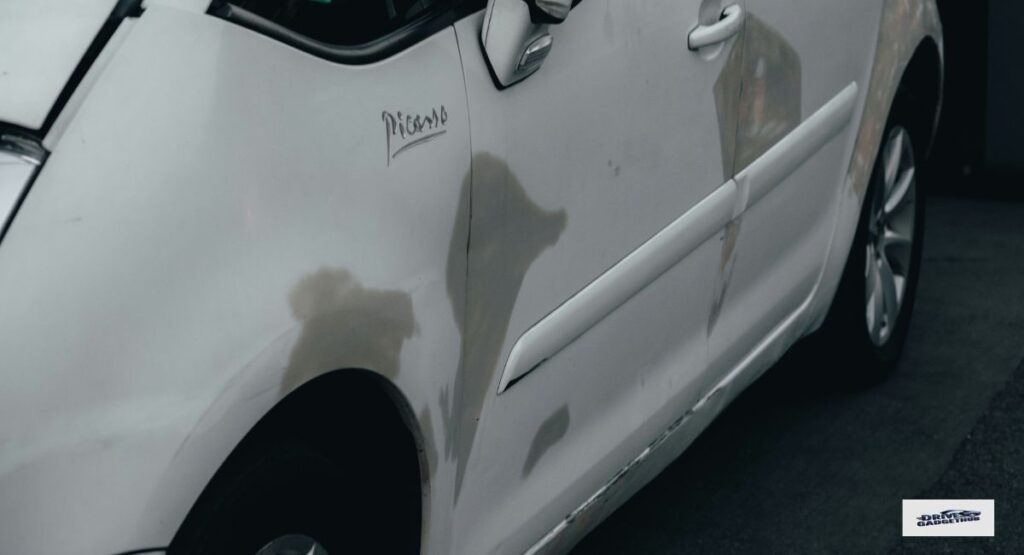 Swirl Marks and Clear Coat Scratches on Car Paint